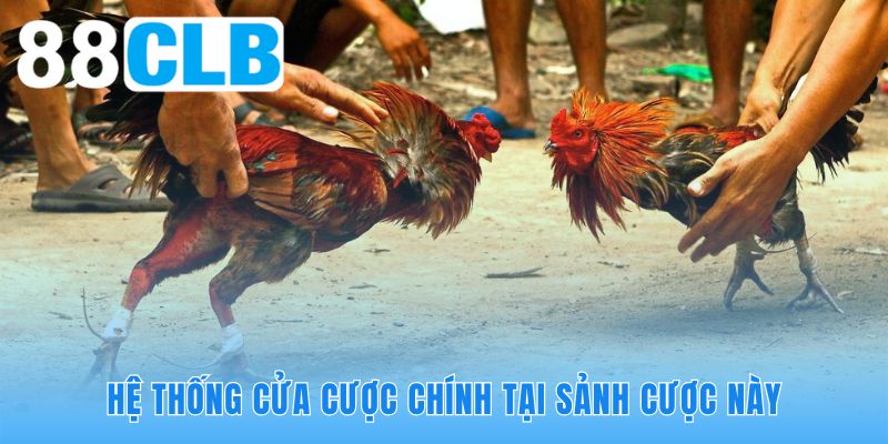 Phân tích cửa cược đá gà cựa dao 88CLB giúp người chơi chọn kèo thơm
