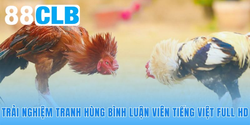 Công nghệ hình ảnh 4K tái hiện trọn vẹn không khí trường gà